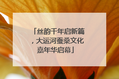 丝韵千年启新篇，大运河蚕桑文化嘉年华启幕