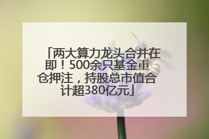 两大算力龙头合并在即！500余只基金重仓押注，持股总市值合计超380亿元