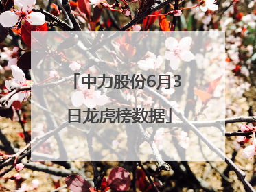 中力股份6月3日龙虎榜数据