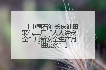 中国石油长庆油田采气二厂“人人讲安全”刷新安全生产月“进度条”