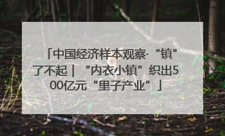 中国经济样本观察·“镇”了不起｜“内衣小镇”织出500亿元“里子产业”