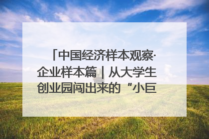 中国经济样本观察·企业样本篇｜从大学生创业园闯出来的“小巨人”——卡诺普机器人的逐梦历程