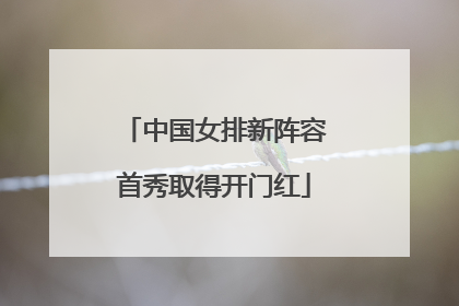 中国女排新阵容首秀取得开门红