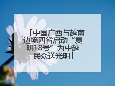 中国广西与越南边境四省启动“复明18号”为中越民众送光明