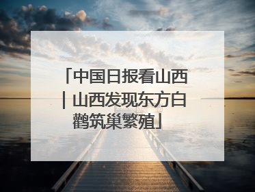 中国日报看山西｜山西发现东方白鹳筑巢繁殖