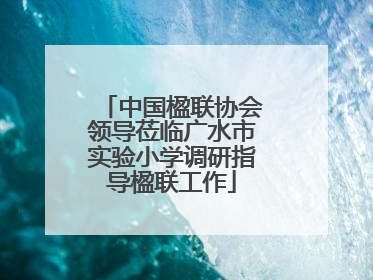 中国楹联协会领导莅临广水市实验小学调研指导楹联工作
