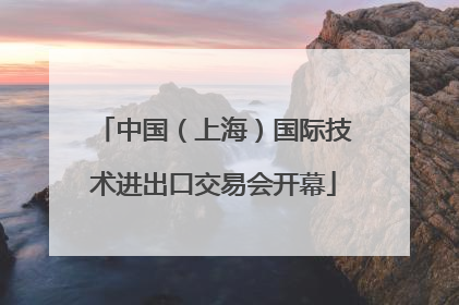 中国（上海）国际技术进出口交易会开幕