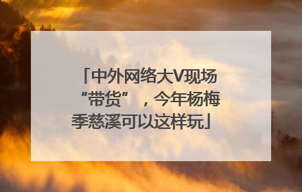 中外网络大V现场“带货”，今年杨梅季慈溪可以这样玩