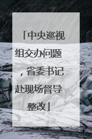 中央巡视组交办问题，省委书记赴现场督导整改