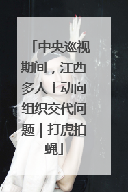 中央巡视期间，江西多人主动向组织交代问题｜打虎拍蝇