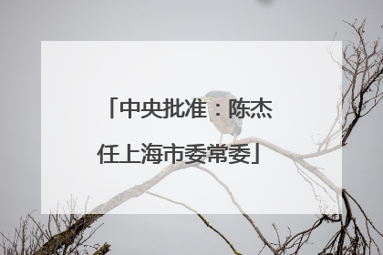 中央批准：陈杰任上海市委常委