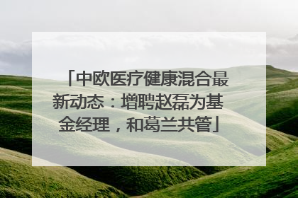中欧医疗健康混合最新动态：增聘赵磊为基金经理，和葛兰共管