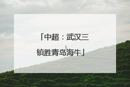 中超：武汉三镇胜青岛海牛