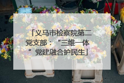 义马市检察院第二党支部：“三维一体”党建融合护民生