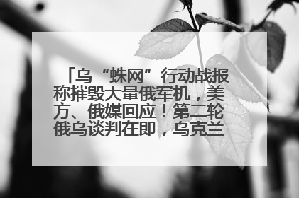 乌“蛛网”行动战报称摧毁大量俄军机，美方、俄媒回应！第二轮俄乌谈判在即，乌克兰提出三大诉求