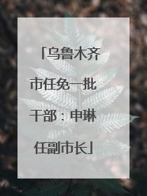 乌鲁木齐市任免一批干部：申琳任副市长