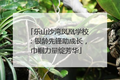 乐山沙湾凤凰学校：银龄先锋助成长，巾帼力量绽芳华