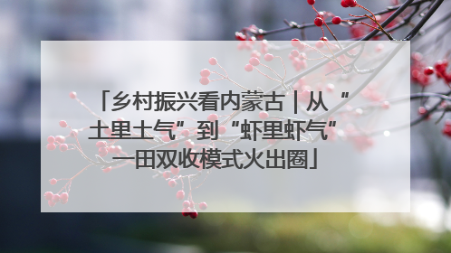 乡村振兴看内蒙古｜从“土里土气”到“虾里虾气” 一田双收模式火出圈
