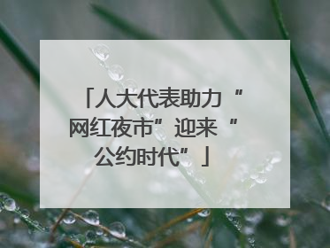 人大代表助力“网红夜市”迎来“公约时代”