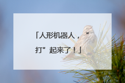 人形机器人，“打”起来了！