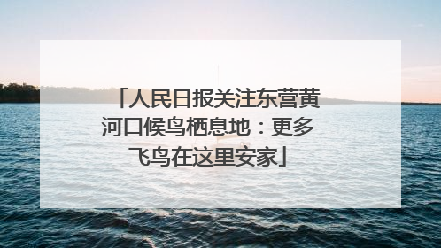 人民日报关注东营黄河口候鸟栖息地：更多飞鸟在这里安家