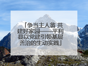 争当主人翁 共建好家园——平利县以党建引领基层善治的生动实践