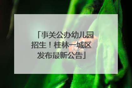 事关公办幼儿园招生！桂林一城区发布最新公告