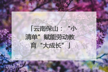 云南保山：“小清单”赋能劳动教育“大成长”