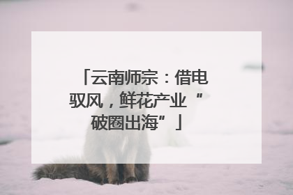 云南师宗：借电驭风，鲜花产业“破圈出海”