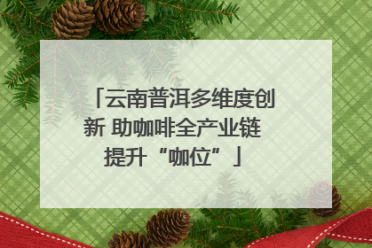 云南普洱多维度创新 助咖啡全产业链提升“咖位”