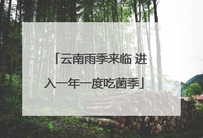 云南雨季来临 进入一年一度吃菌季