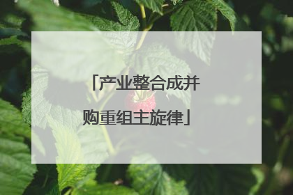 产业整合成并购重组主旋律