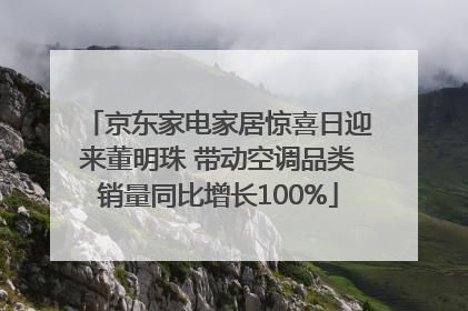 京东家电家居惊喜日迎来董明珠 带动空调品类销量同比增长100%