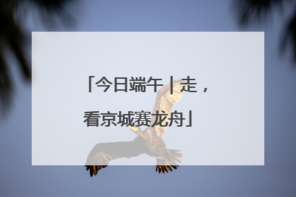 今日端午｜走，看京城赛龙舟