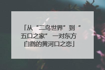 从“二鸟世界”到“五口之家” 一对东方白鹳的黄河口之恋