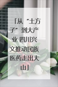 从“土方子”到大产业 四川兴文推动民族医药走出大山