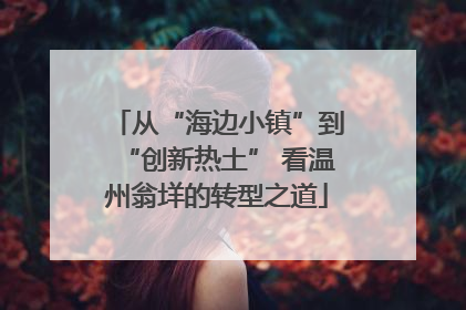 从“海边小镇”到“创新热土” 看温州翁垟的转型之道