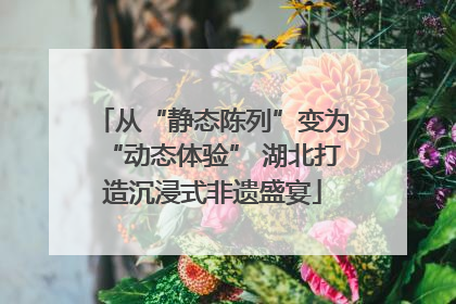 从“静态陈列”变为“动态体验” 湖北打造沉浸式非遗盛宴