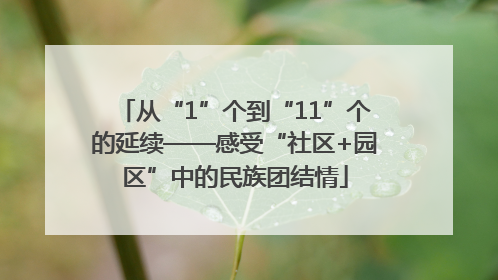 从“1”个到“11”个的延续——感受“社区+园区”中的民族团结情