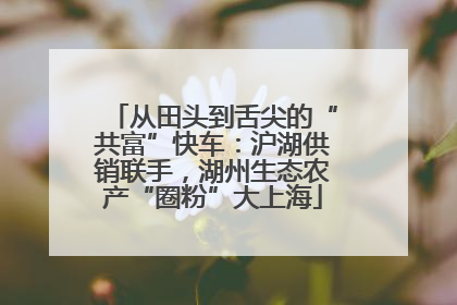 从田头到舌尖的“共富”快车：沪湖供销联手，湖州生态农产“圈粉”大上海