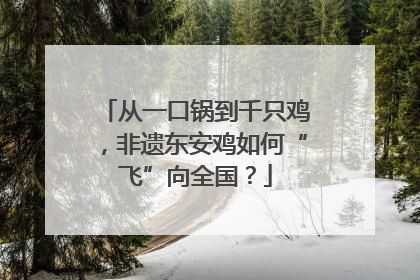 从一口锅到千只鸡，非遗东安鸡如何“飞”向全国？