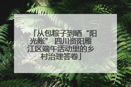 从包粽子到晒“阳光账” 四川资阳雁江区端午活动里的乡村治理答卷