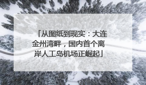 从图纸到现实：大连金州湾畔，国内首个离岸人工岛机场正崛起