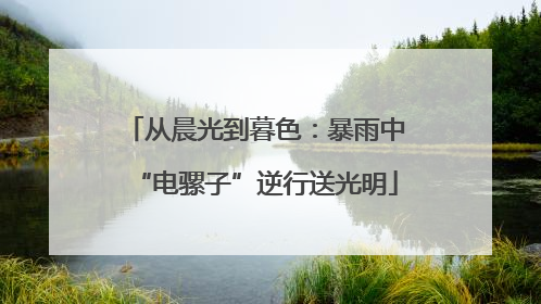 从晨光到暮色：暴雨中“电骡子”逆行送光明