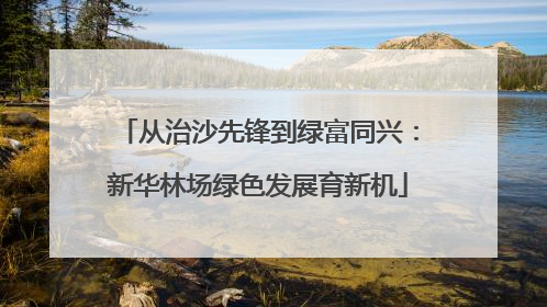 从治沙先锋到绿富同兴：新华林场绿色发展育新机