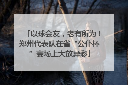 以球会友，老有所为！郑州代表队在省“公仆杯”赛场上大放异彩