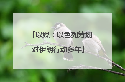 以媒：以色列筹划对伊朗行动多年