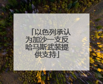 以色列承认为加沙一支反哈马斯武装提供支持