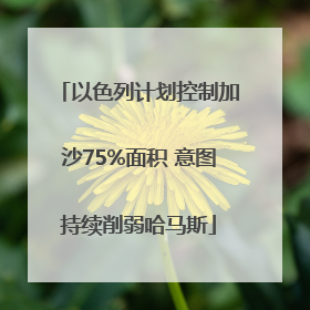 以色列计划控制加沙75%面积 意图持续削弱哈马斯