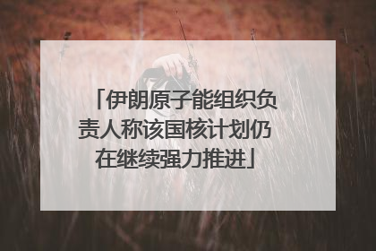 伊朗原子能组织负责人称该国核计划仍在继续强力推进